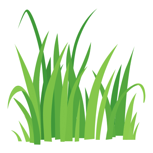 Grass